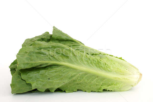 Salată verde proaspăt cap alb alimente frunze Imagine de stoc © AlphaBaby