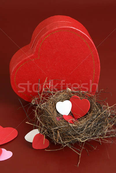 Nest of Love Stock photo © AlphaBaby