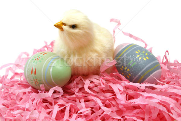 Pasen chick eieren shot seizoen- Stockfoto © AlphaBaby