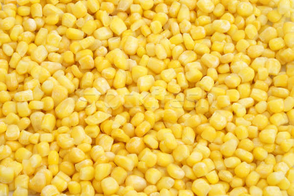 Corn Background Stock photo © AlphaBaby