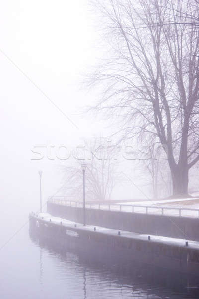Into The Mist Stock photo © AlphaBaby