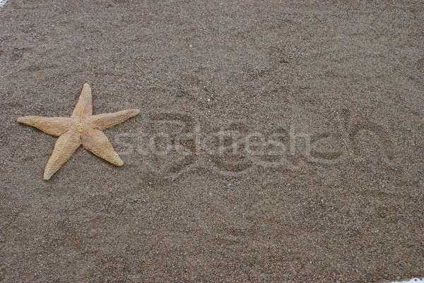 Praia arenoso starfish praia fundo verão Foto stock © AlphaBaby