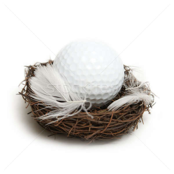 Nest Ei Golfball innerhalb geben Idee Stock foto © AlphaBaby