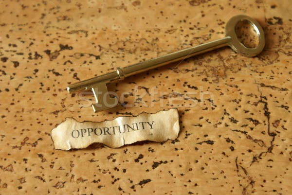 Key to Opportunity Stock photo © AlphaBaby