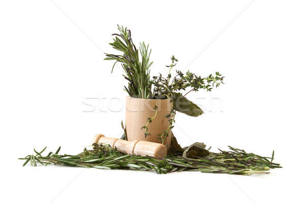 Preparing Herbs Stock photo © AlphaBaby
