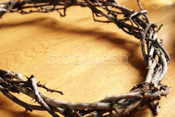 Stock photo: Crown Of Thorns