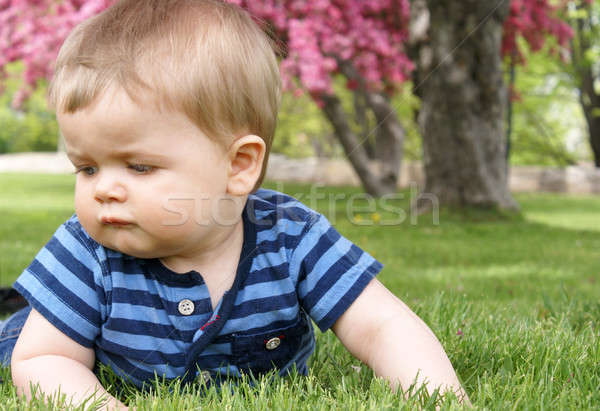 Baby Boy On the Grass Stock photo © AlphaBaby