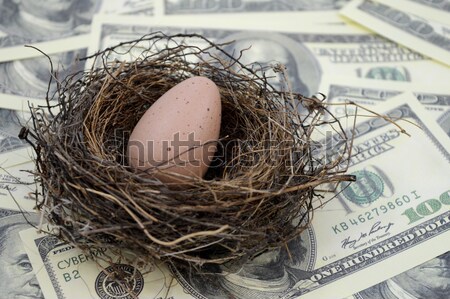 Vagyonos fészek tojás kép pénz piros Stock fotó © AlphaBaby