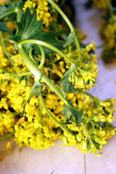 黃色 草藥 新鮮 芥末 家庭 商業照片 © AlphaBaby