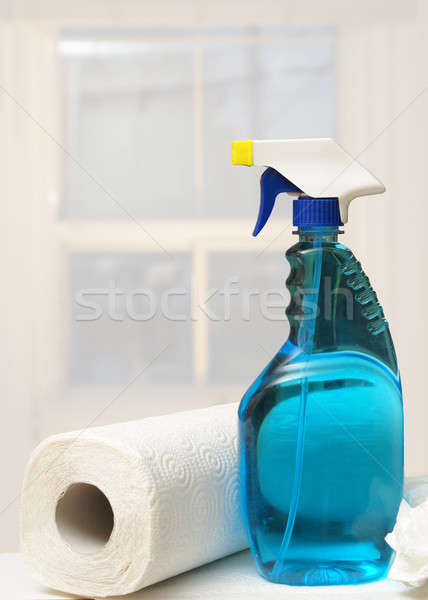 Butelki ręcznik papierowy papieru domu domu Zdjęcia stock © AlphaBaby