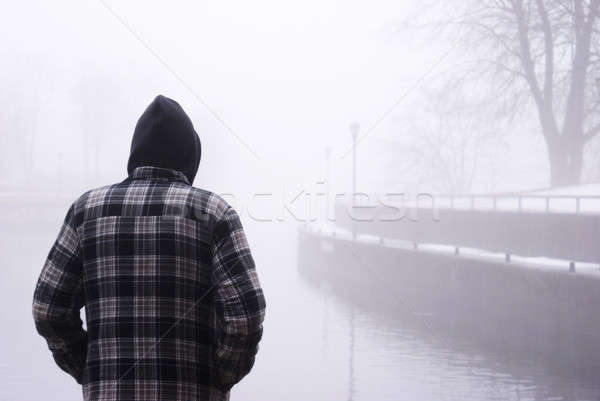 Into The Mist Stock photo © AlphaBaby