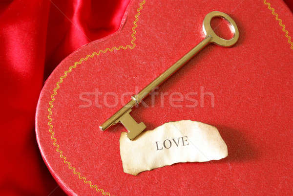 The Key to My Heart Stock photo © AlphaBaby