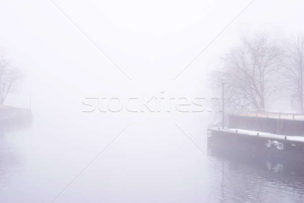 霧 1 フレーム 劇的な ストックフォト © AlphaBaby
