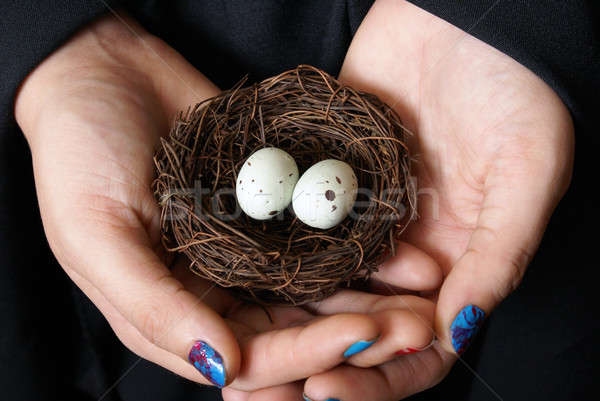 Vadvilág mentés nő pár tojások vad Stock fotó © AlphaBaby