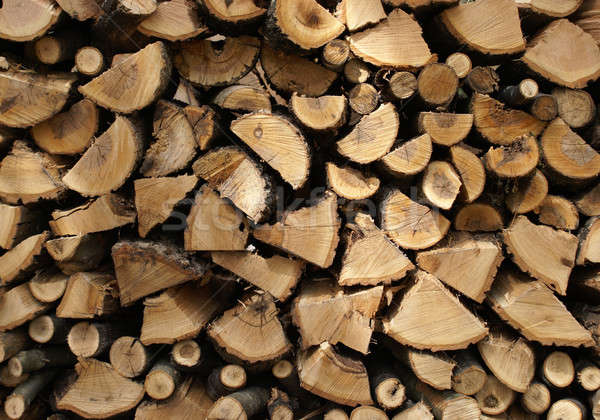 Drewna makro shot tekstury drzewo Zdjęcia stock © AlphaBaby