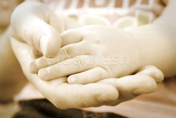Anyák szeretet szeretetteljes lövés kéz tart Stock fotó © AlphaBaby