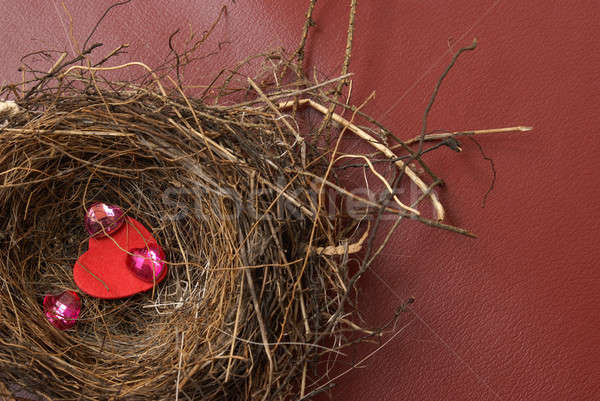 Сток-фото: гнезда · любви · подлинный · домах · сердце