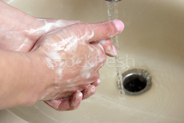 Mains jeune femme salle de bain évier main corps [[stock_photo]] © AlphaBaby