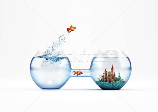 [[stock_photo]]: Façon · amélioration · progrès · 3D · Goldfish