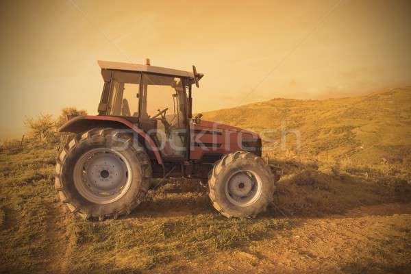 Agriculture Stock photo © alphaspirit