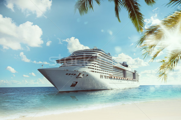 Tropische cruise reis zee tropisch strand strand Stockfoto © alphaspirit