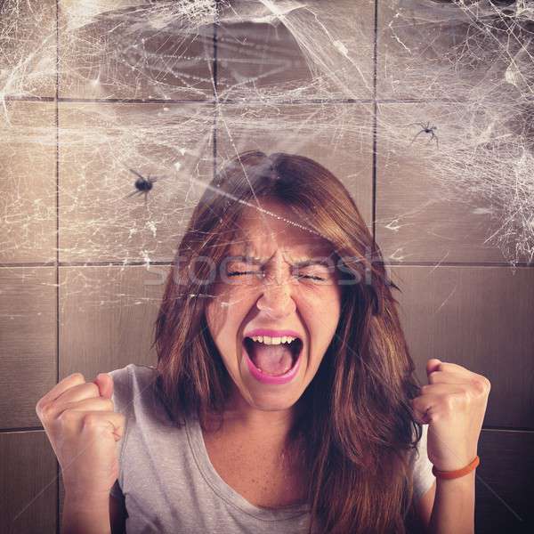 Arachnophobia Stock photo © alphaspirit