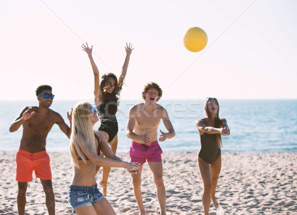 Stock fotó: Csoport · barátok · játszik · tengerpart · röpte · boldog