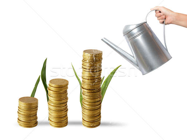 Growing the economy Stock photo © alphaspirit