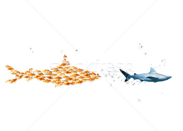 Big shark made of goldfishes attack a real shark. Concept of unity is strength, teamwork and partner Stock photo © alphaspirit