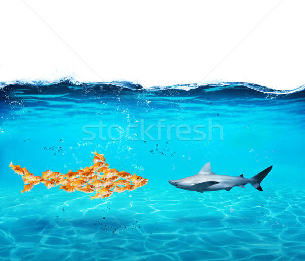 Big shark made of goldfishes. Concept of unity is strenght,teamwork and partnership Stock photo © alphaspirit