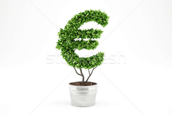 Potted plant with eur shape. 3D Rendering Stock photo © alphaspirit