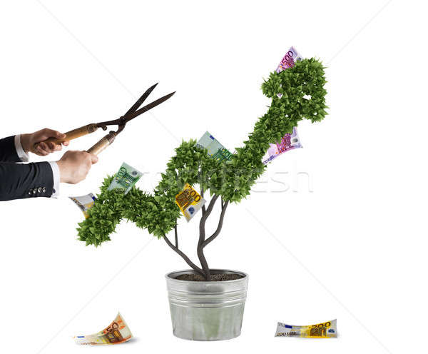 Businessman that cuts and adjusts money tree shaped like an arrow stats. Concept of startup company  Stock photo © alphaspirit