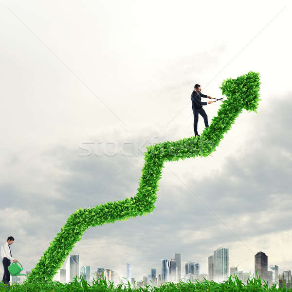 Big plant that grows like an arrow. Growing the economy company Stock photo © alphaspirit
