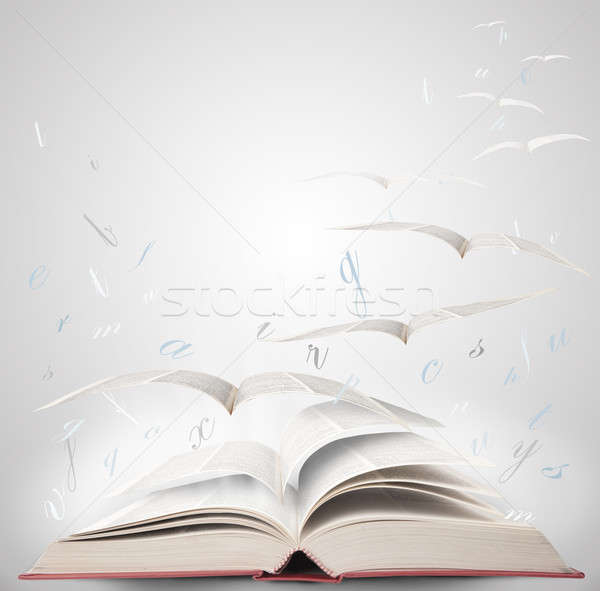 Magic carte zbura fantezie lectură şcoală Imagine de stoc © alphaspirit
