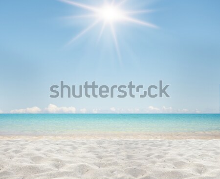 Sunny beach Stock photo © alphaspirit