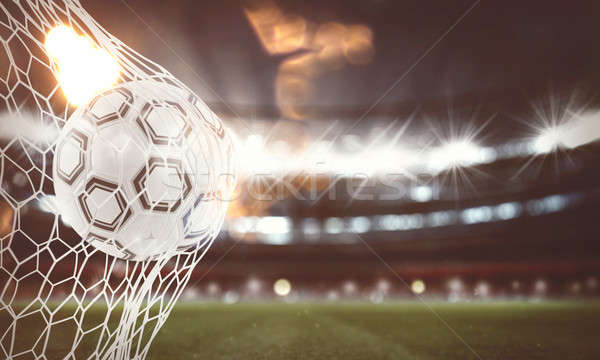 Soccer ball scores a goal on the net. 3D Rendering Stock photo © alphaspirit