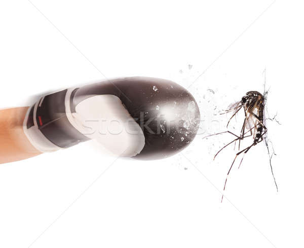 Mosquitoes attack Stock photo © alphaspirit