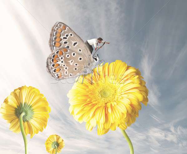 Businessman on a butterfly Stock photo © alphaspirit