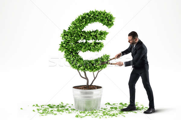 Potted plant with eur shape. 3D Rendering Stock photo © alphaspirit