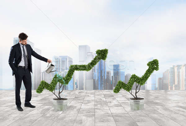 Foto stock: Empresario · planta · forma · flecha · creciente