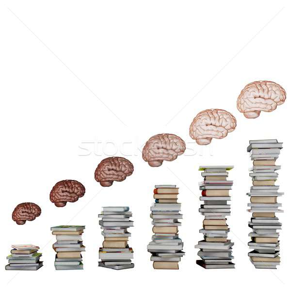 Fejlesztés agy mérleg iskola könyvek oktatás Stock fotó © alphaspirit