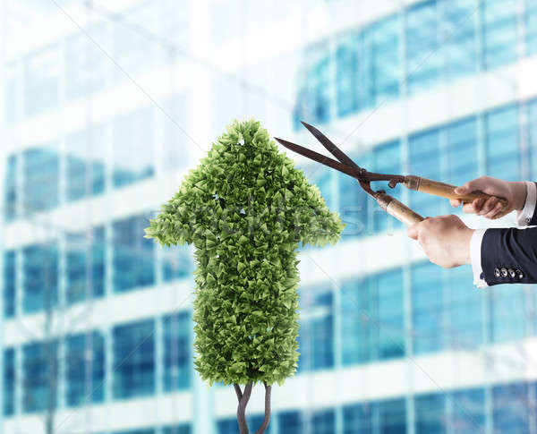 Businessman that cuts and adjusts a plant shaped like an arrow stats. Concept of startup company . 3 Stock photo © alphaspirit