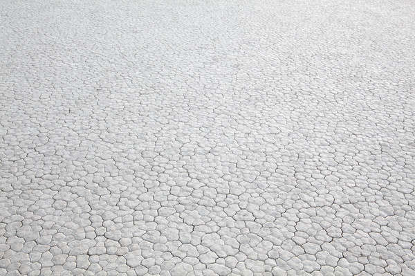 Asciugare abstract essiccati fango natura sfondo Foto d'archivio © alptraum