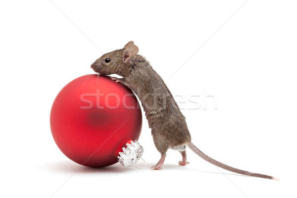 Christmas muis snuisterij geïsoleerd naar Rood Stockfoto © alptraum