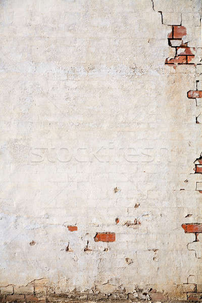 grunge wall background Stock photo © alptraum