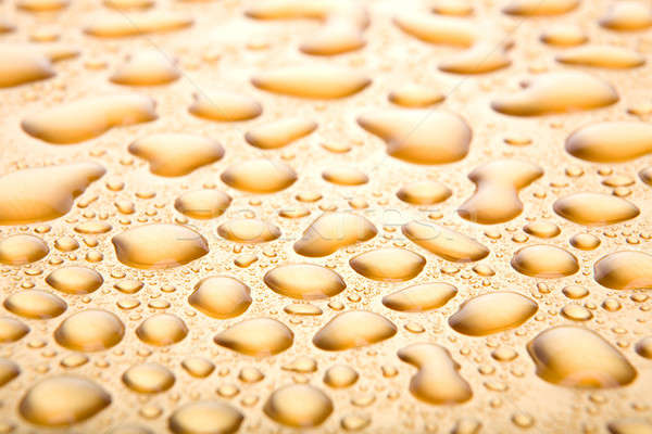 water drops background closeup Stock photo © alptraum