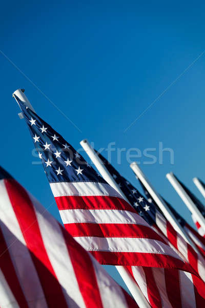USA americano bandiere fila up shot Foto d'archivio © alptraum