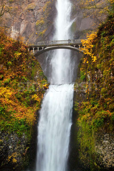 Waterval Oregon tweede schoonheid vallen Geel Stockfoto © alptraum