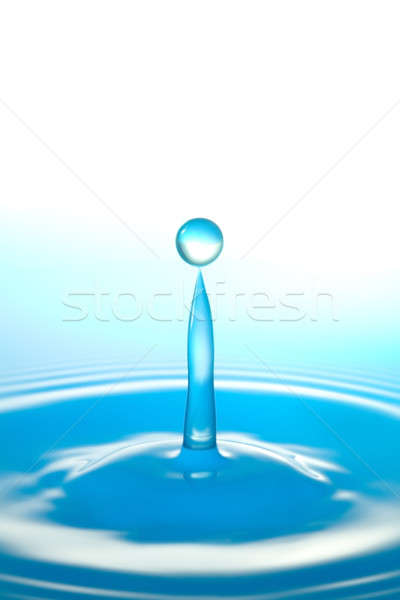balance of nature Stock photo © alptraum