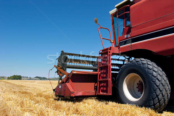 combine harvester on field Stock photo © alptraum